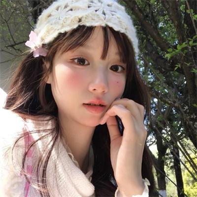 小象守护者